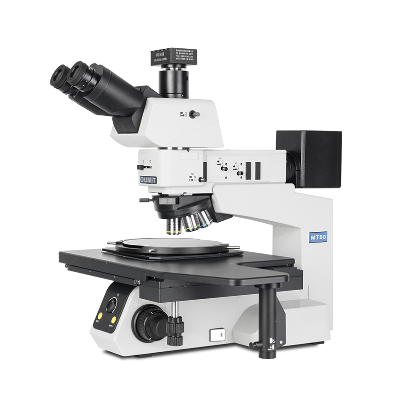 合肥工业中黄瓜APP在线下载的分类
